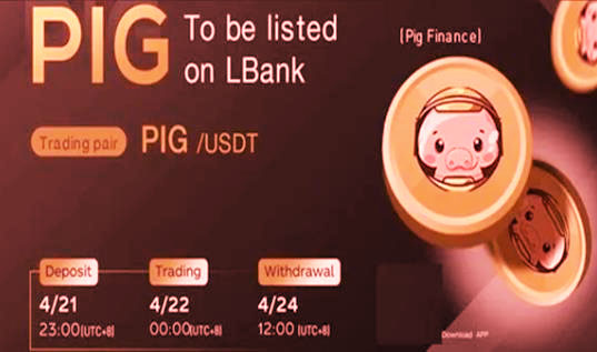 猪币安卓最新版下载地址 猪币钱包等APP可以提现